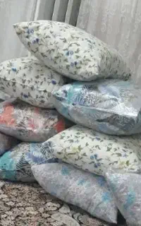 بالشت