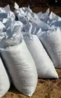 کود کبوتر قیمت مناسب