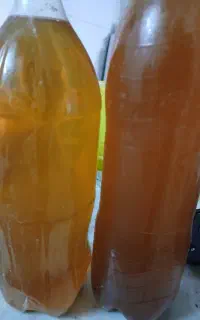 ابغوره یاسوج