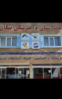 استخدام بیمارستان دامپزشکی