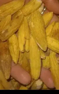 بلوط خشک خیلی تمیز