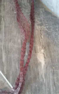 تور پیاز