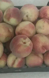 هلو