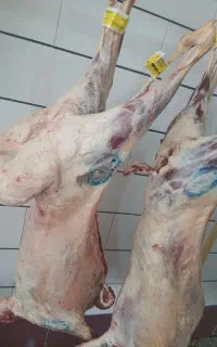 گوشت چرخ کرده