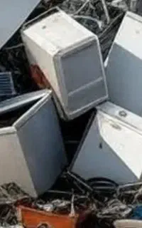 خریدار زایعات به صورت عمده ای