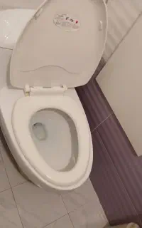 توالت فرنگی
