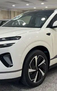 2025 Byd cealine