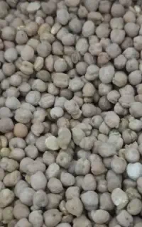 نخود پاک شده