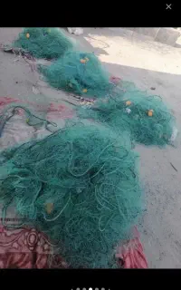 فروش تور اسپکی درحد نو