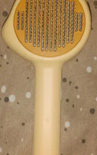 برس گربه