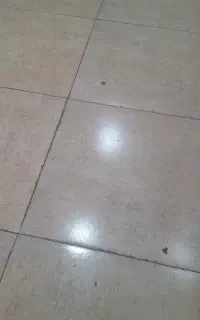 نظافت منزل