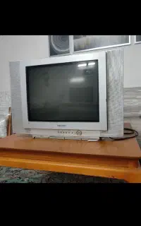 تلویزیون
