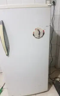 یخچال هتلی پارس