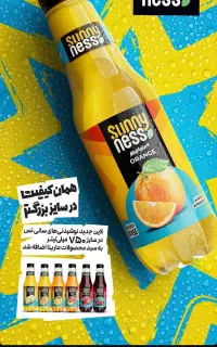 استخدام ویزیتور