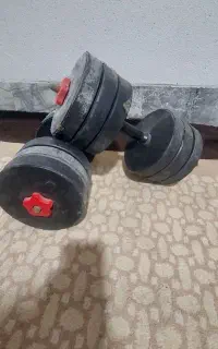 دنبل