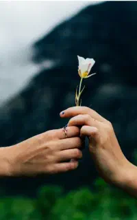 مشاور زوجین.برای روابط بهتر با ما همراه باشید