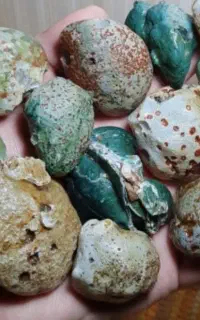 توپی سنگ راف عقیق و شجر خراسان