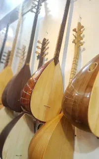 فروش وآموزش عاشیخ سازی و باغلاما(فروشگاه آرتا ساز)