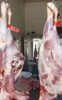 قصاب هستم