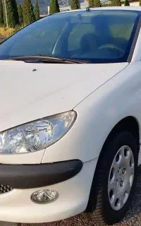 206 sd بیرنگ مدل ۹۶ تکبرگ سند