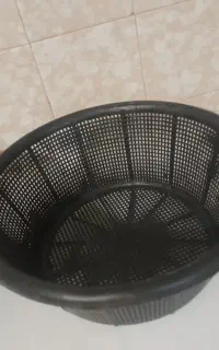 سبد