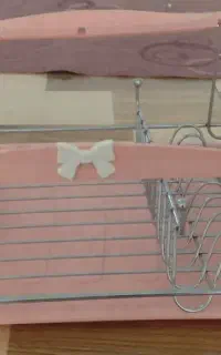 آبچکان نظم دهنده