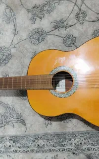 گیتار benberg آلمانی