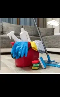 نظافتچی خانم