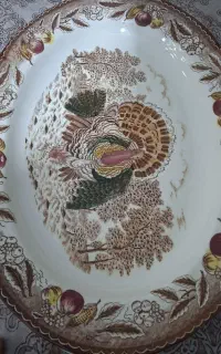 دیس