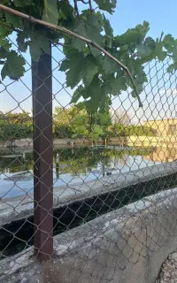 اجاره زمین کشاورزی روستای خوش آباد