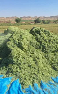 فروش دو تن خرمنکوب یونجه