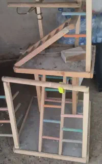 پارک پرنده ها