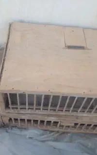 قفس مسابقه وراهکش و ورودی کبوتر