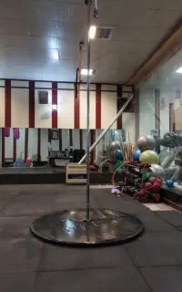 میله پل دنس با تشک