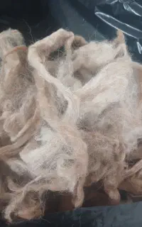مقداری پشم گوسفند