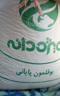 دان بوقلمون  و تخم گذار