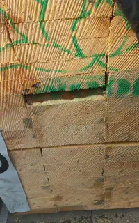 تخته کد ۱۹۰۰۹۹۹بنایی ودرهمه اندازه تحویل پروژه