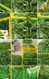 سبزی قورمه خوش عطر