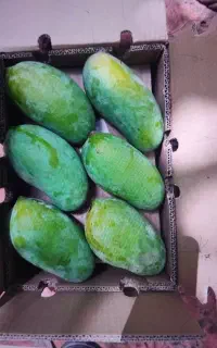 انبه صادراتی