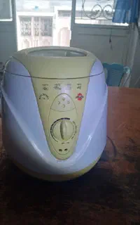 مینی سرخ کن
