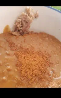کافه صبحانه حبیب بید