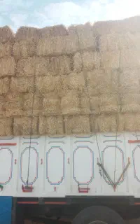 خریدار و فروش کاه و حمل گندم