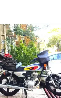 لوله بازکنی فنرزنی فنر زن ارزان باضمانت فوری کل قم