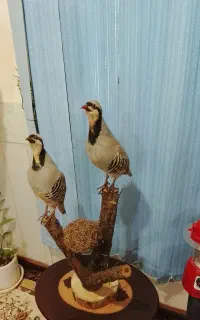 مجسمه شیک زیبا