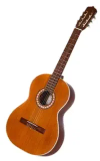 گیتار پارسی p40
