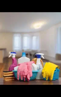 نیروی نظافت کار