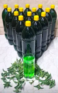 شربت نعنا ۳۵۰ هزار ت