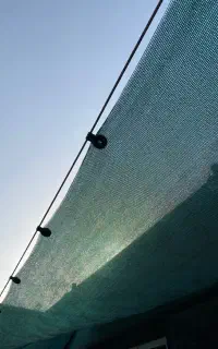 توری شید سایبان