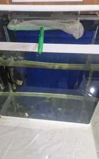 اکواریوم k500 دلسا