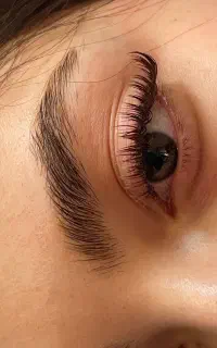 مژه‌کار